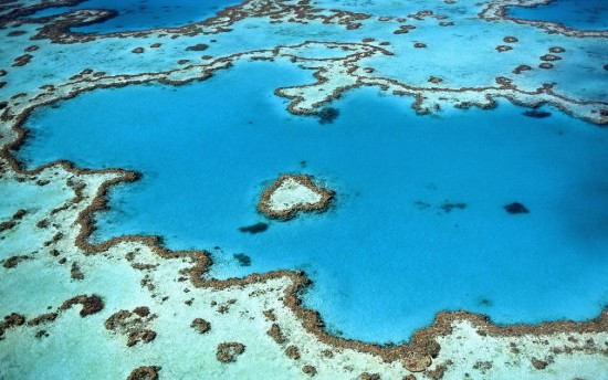 rafa koralowa bielactwo ocieplenie klimatu