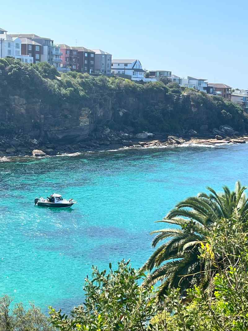 Gordons Bay w Sydney, ukryta zatoczka przy trasie Bondi do Coogee