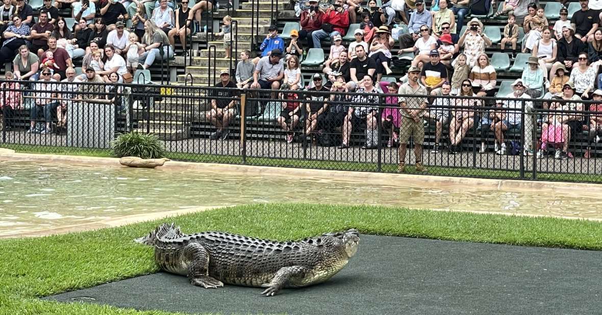 Bilet wstępu do Australia Zoo – zaplanuj wycieczkę w okolicach Brisbane