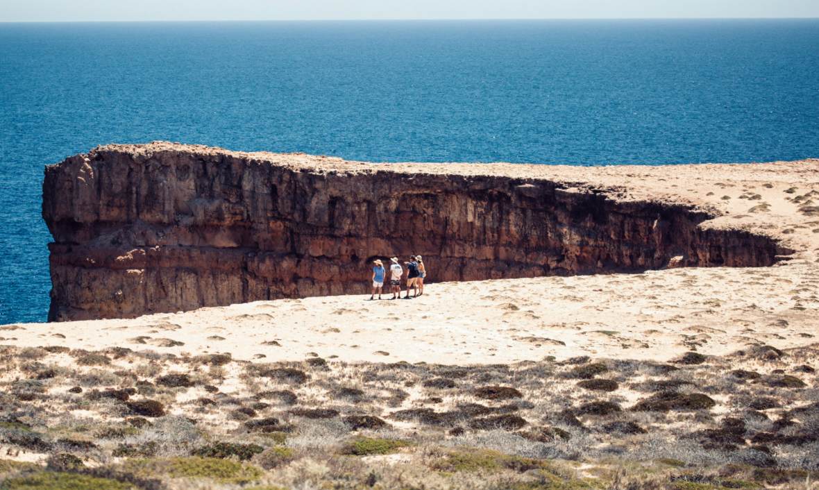 co-zobaczyc-w-australii-zachodniej-wycieczka-dirk-hartog-island-shark-bay-spotkania-z-dzika-przyroda-i-szlaki-4wd