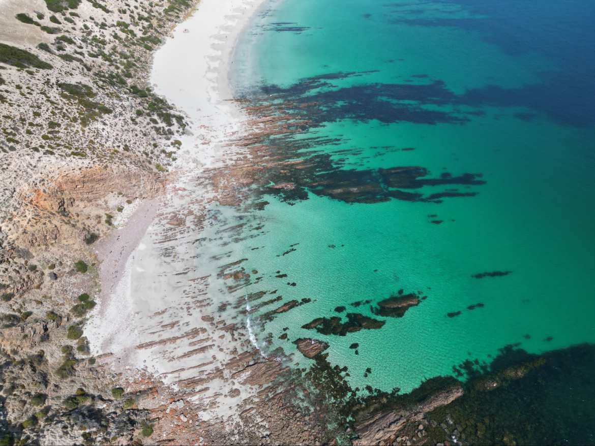 kontrast-wyspa-kangura-piasek-lasy-i-dzikie-zwierzeta-w-jednym-dniu