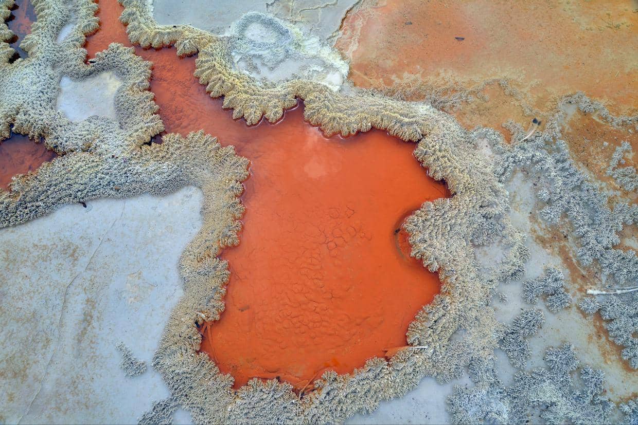 erupcja-gejzeru-lady-knox-geotermalna-atrakcja-wyspy-polnocnej