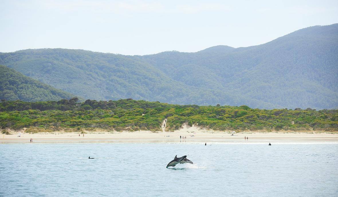 wilsons-promontory-rejs-podroz-australia-plan-podrozy-sydney-melbourne