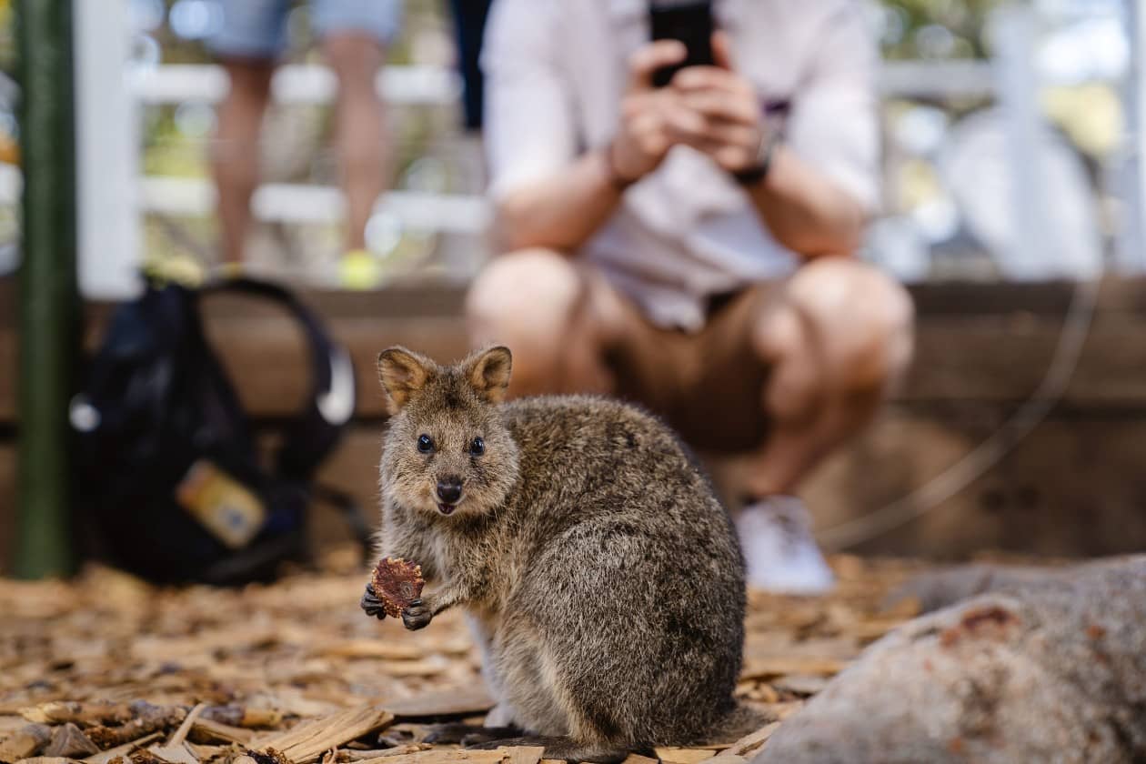 szlaki-rowerowe-na-rottnest-island-plaże-i-zatoki-perth