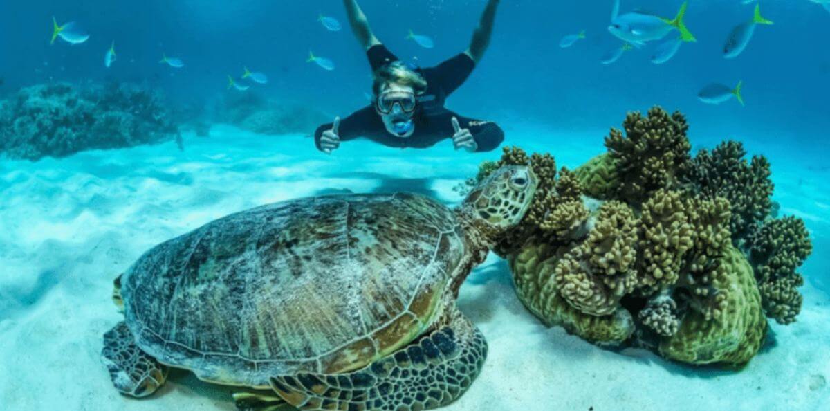 nurkowanie-z-cairns-wielka-rafa-koralowa-pogoda-i-warunki-na-rafie