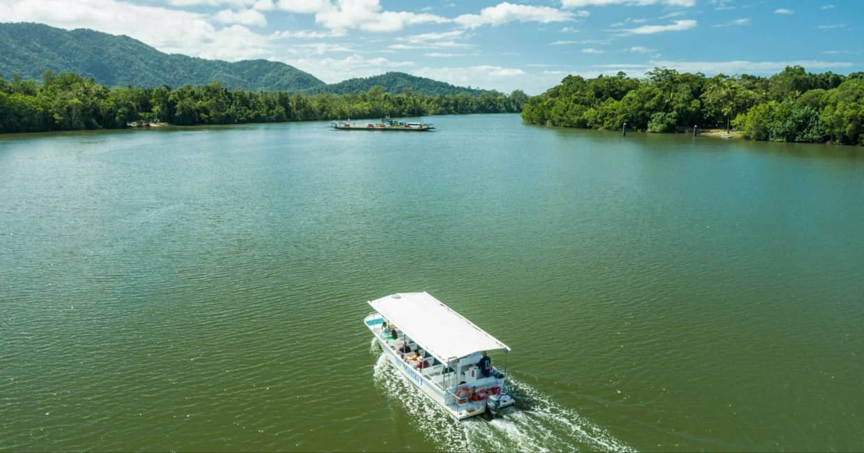 Daintree i Cape Tribulation – jednodniowa wycieczka z Cairns do najstarszego lasu deszczowego Australii