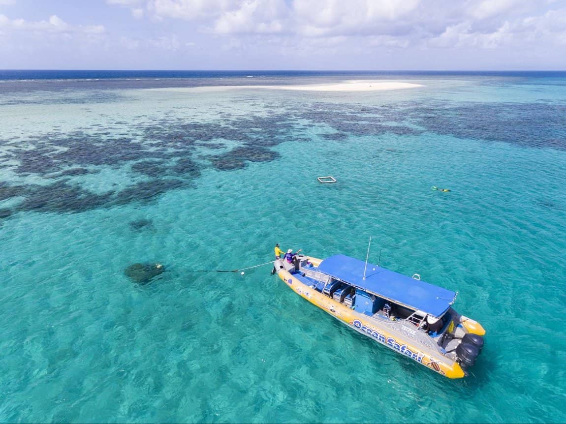 najlepsze-wycieczki-z-cairns-snorkeling-na-rafa-coral-sea-cape-tribulation