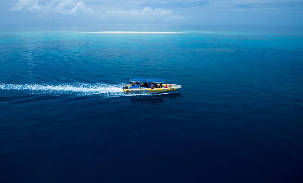 australia-dzungla-i-rafa-w-jednym-miejscu-cape-tribulation-i-daintree