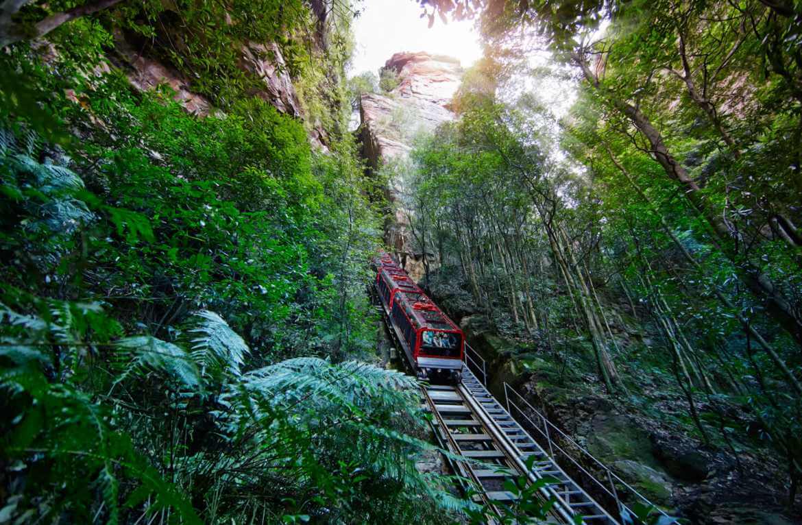 całodniowa-wycieczka-blue-mountains-dla-rodzin-z-dziećmi-i-lunchem