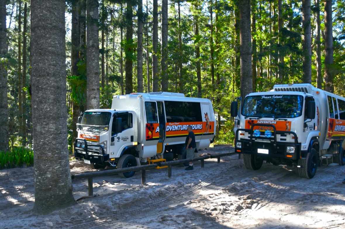 Road trip busem $WD przystanek w lesie deszczowy na wyspie Fraser Island Kgari wpisanej na listę UNESCO