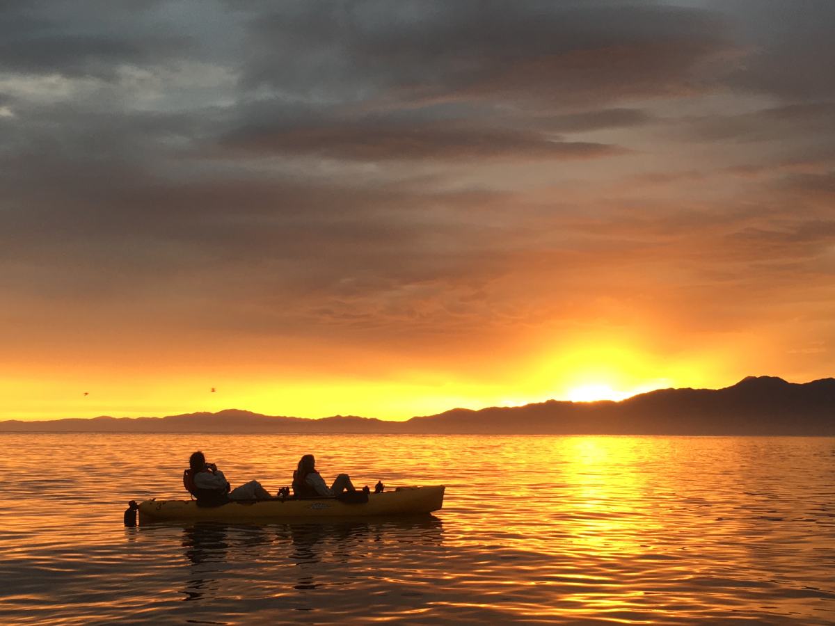 relaks-i-przygoda-na-wyspie-poludniowej-kayak-tour-kaikoura