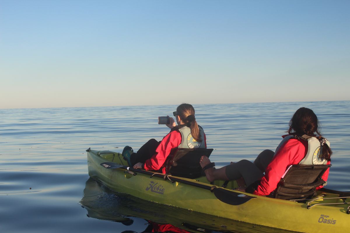 spotkanie-z-przyroda-w-nowej-zelandii-kajakowanie-kaikoura