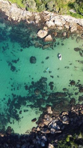 zatoka-w-sydney-co-trzeba-wiedzieć-o-wizie-work-and-holiday-australia