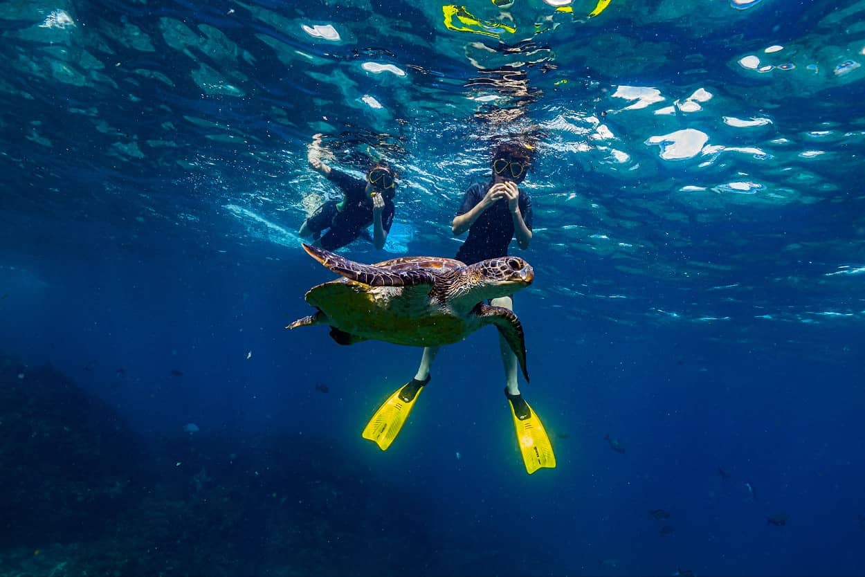 Snorkeling w Byron Bay Australia (Julian Rocks): najpiękniejszy podwodny świat wzdłuż trasy Sydney – Brisbane