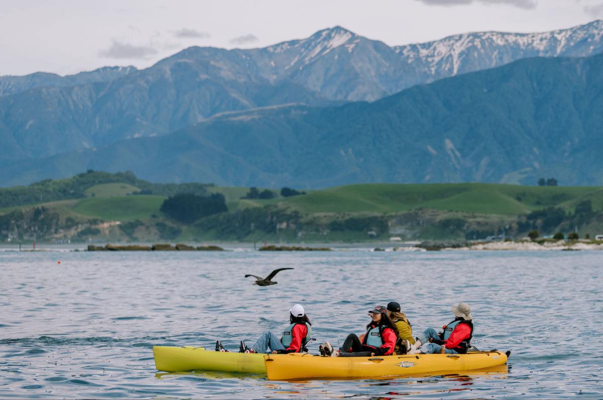 Kajaki z fokami w Kaikoura – atrakcja przyrodnicza Wyspy Południowej Nowej Zelandii