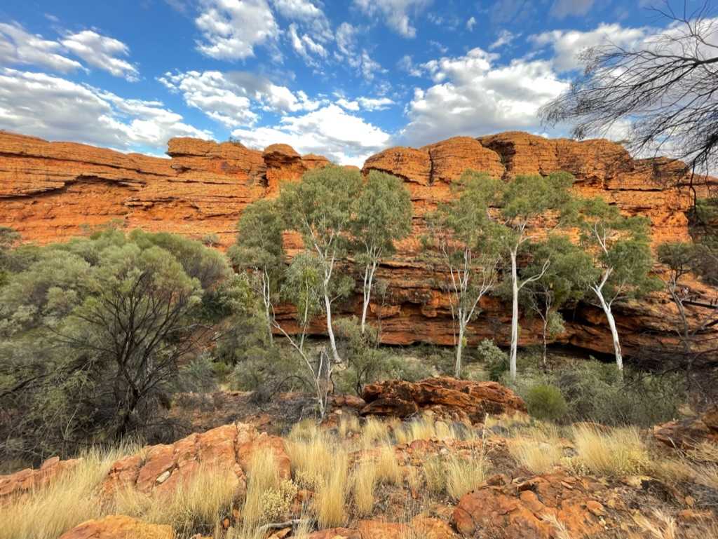 Kings Canyon wycieczka jednodniowa z Uluru do najpiękniejszego kanionu Australii
