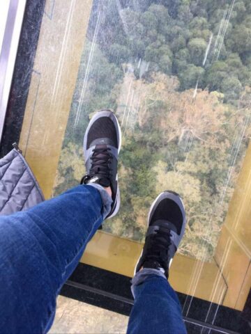 kolejka w gorach blekitnych ze szklana podloga scenic world