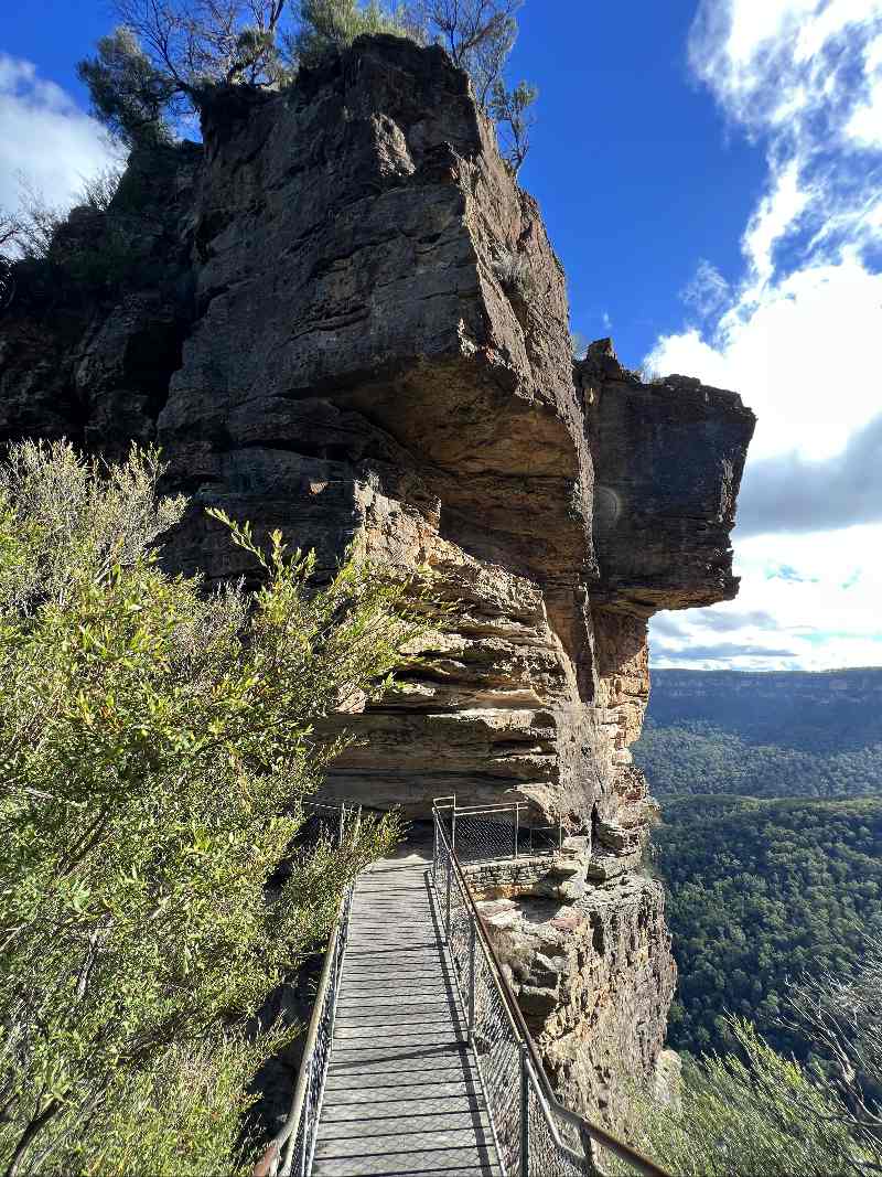 widoki podczas wycieczki w Góry Błekitne z Sydney