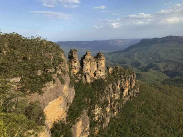 eukaliptus w Gorach Blekitnych i widok na Trzy Siostry punkt widokowy