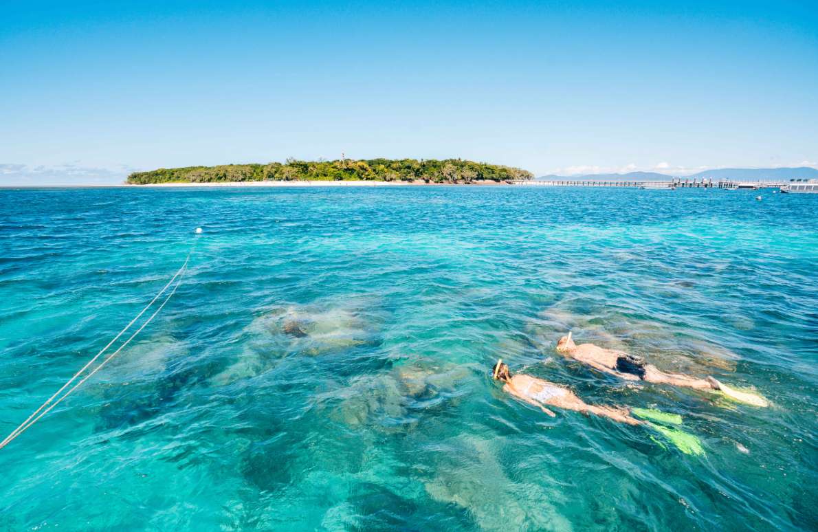 Snorkeling na Green Island w Australii – kolorowe ryby i żółwie morskie