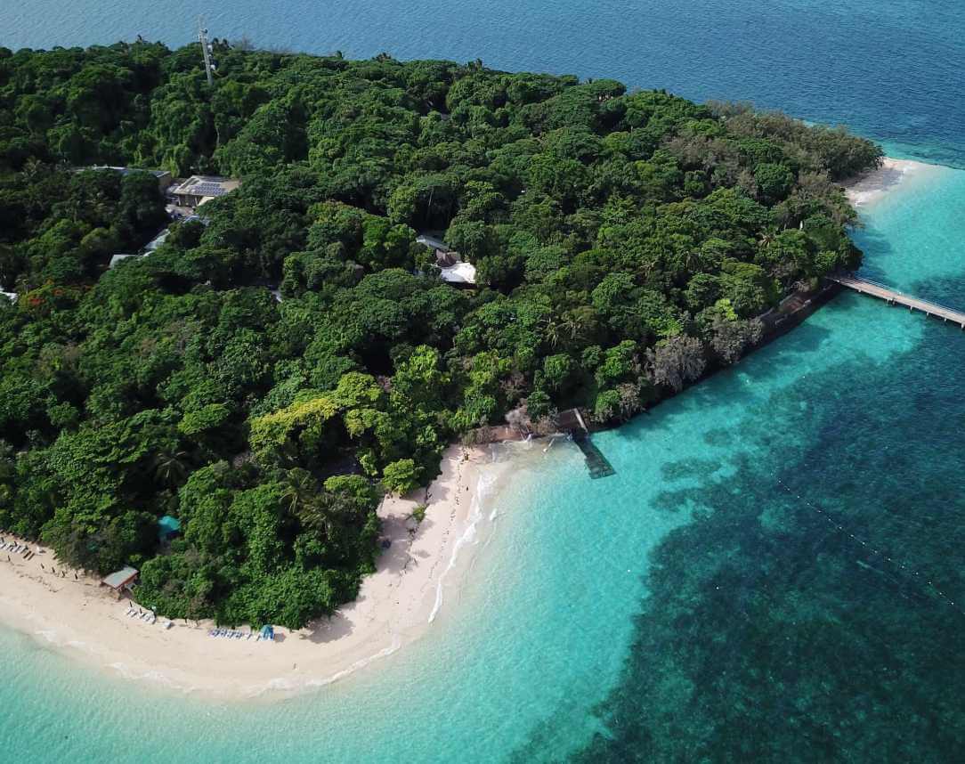 Green Island (Zielona Wyspa) wycieczka z Cairns na Wielką Rafę Koralową: snorkeling lub łódź ze szklanym dnem