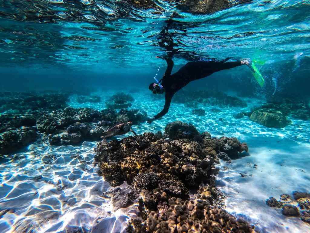 Zewnętrzna Wielka Rafa Koralowa w Australii podczas rejsu