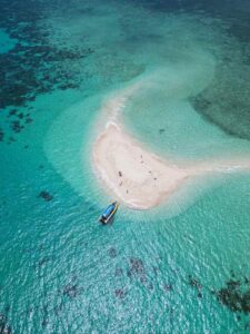 wielka rafa koralowa i blekity oceanu w Australii podczas wycieczki