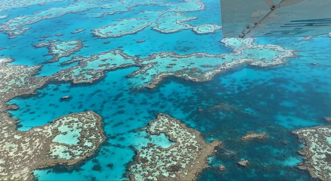 wielka rafa koralowa podczas lotu widokowego