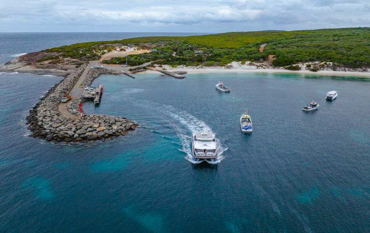 Łodzi w porcie i Ptaki morskie unoszące się nad wodami Bremer Bay podczas rejsu