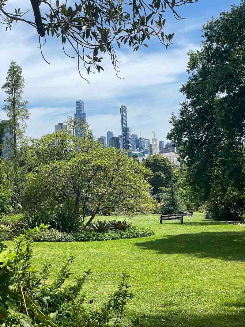 Egzotyczne rośliny i jezioro w Royal Botanic Gardens w Melbourne.