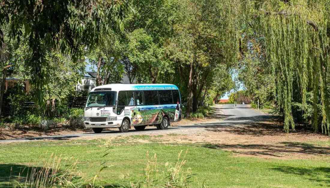 Krajobraz winnic w Barossa Valley, najlepszym regionie winiarskim w pobliżu Adelajdy w Australii Południowej.