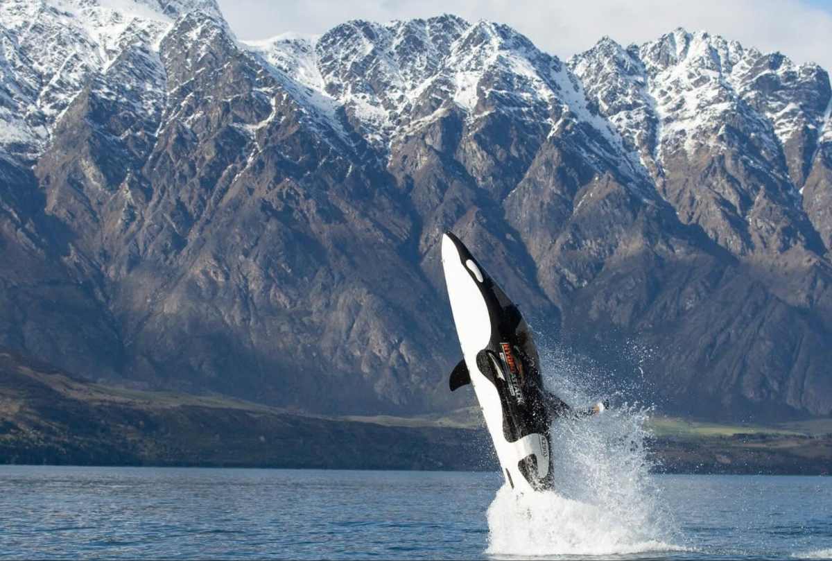 Hydro Attack Queenstown – łódź-rekin na Lake Wakatipu w Nowej Zelandii