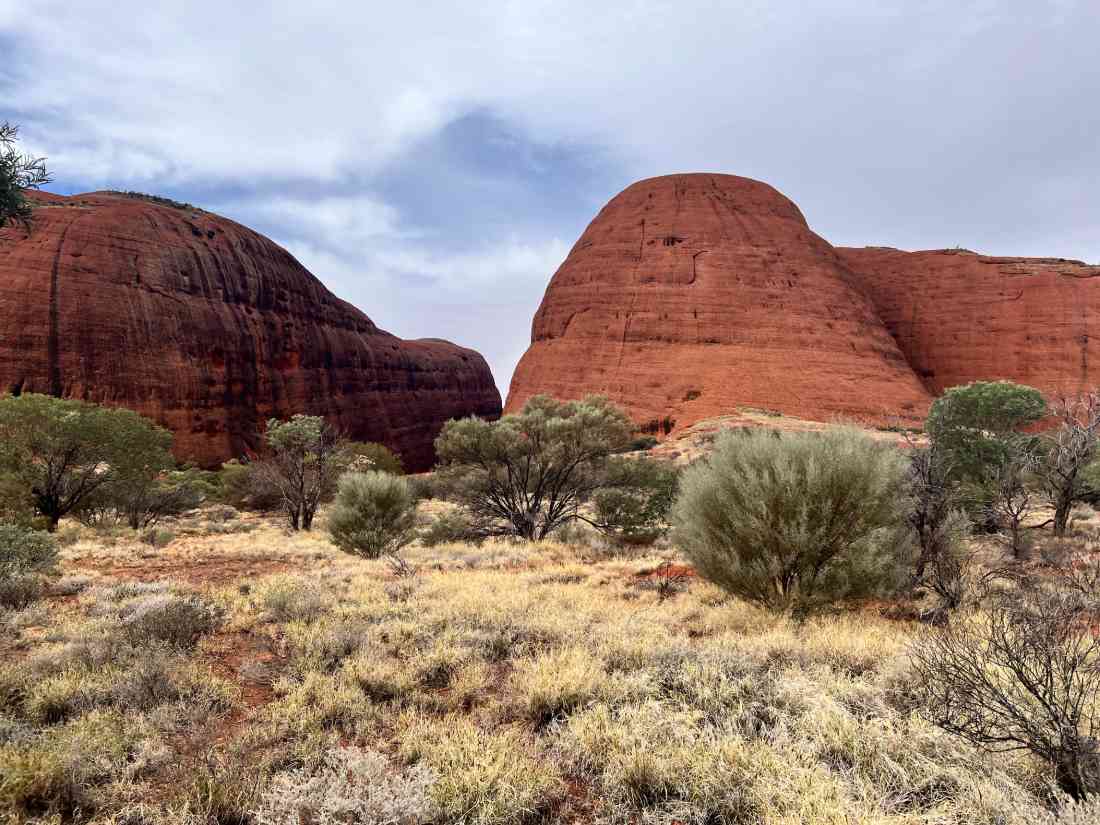 Wycieczka z przewodnikiem po Walpa Gorge w Kata Tjuta