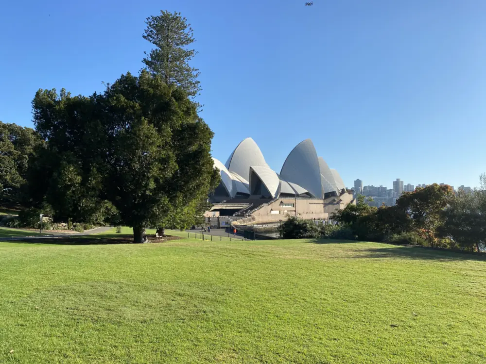 Trawnik w Królewskim Ogrodzie Botanicznym w Sydney z widokiem na Operę