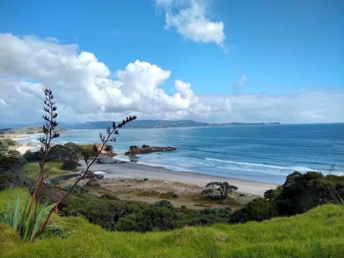 Plaża i wybrzeże Tāwharanui Regional Park na północ od Auckland, Nowa Zelandia
